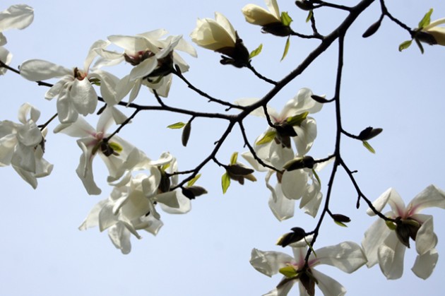 사본 -DSC04747640.jpg 사본 -DSC04747640.jpg